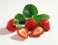 Hướng dẫn sử dụng máy ép trái cây Kuvings