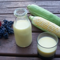 Tự làm sữa bắp ngon cho bé và kinh doanh online 